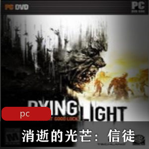 冒险游戏消逝的光芒信徒中文破解增强版